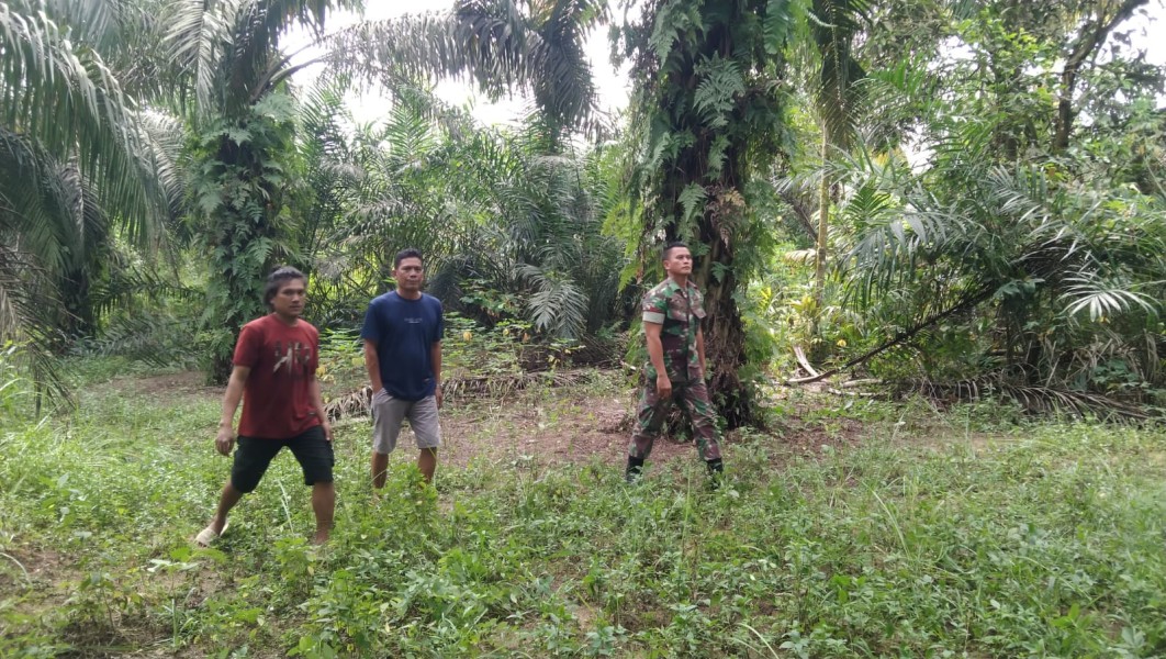 Babinsa Koptu Togi Sitorus Pimpin Patroli Karhutla di Perawang Barat
