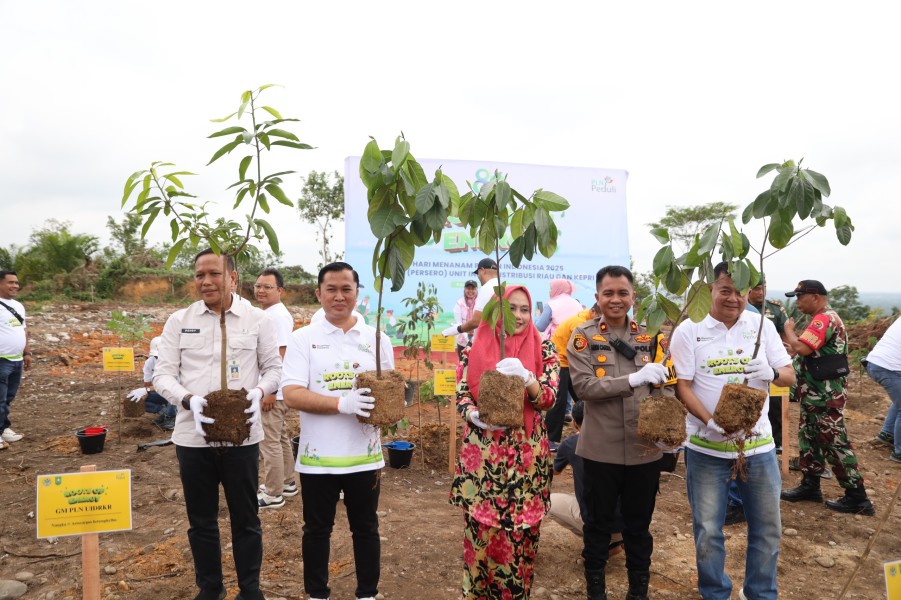 PLN untuk Rakyat, PLN UID Riau dan Kepri Wujudkan Lingkungan Hijau Lewat Penanaman Bibit Pohon Produktif