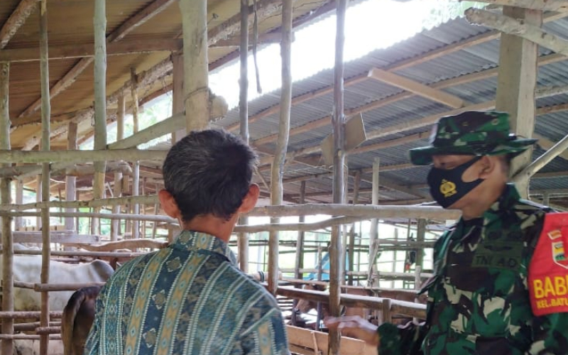 Babinsa Serda Miftah di Batu Teritip Dukung Sektor Peternakan