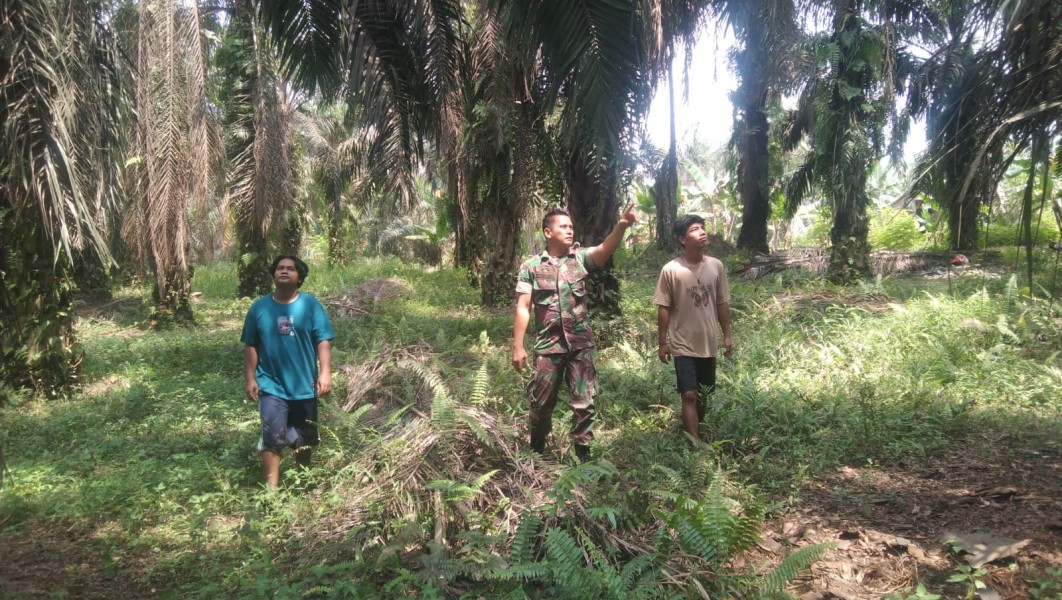 Babinsa Koptu Togi Sitorus Patroli Karhutla, Wilayah Perawang Barat Terpantau Aman Tanpa Titik Api