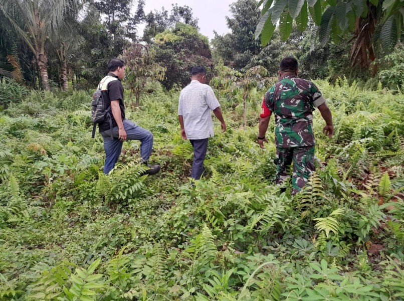 Babinsa Serka Afrisal dan Sertu Sahidin Patroli Karhutla di Kampung Tualang, Siak: Nihil Titik Api