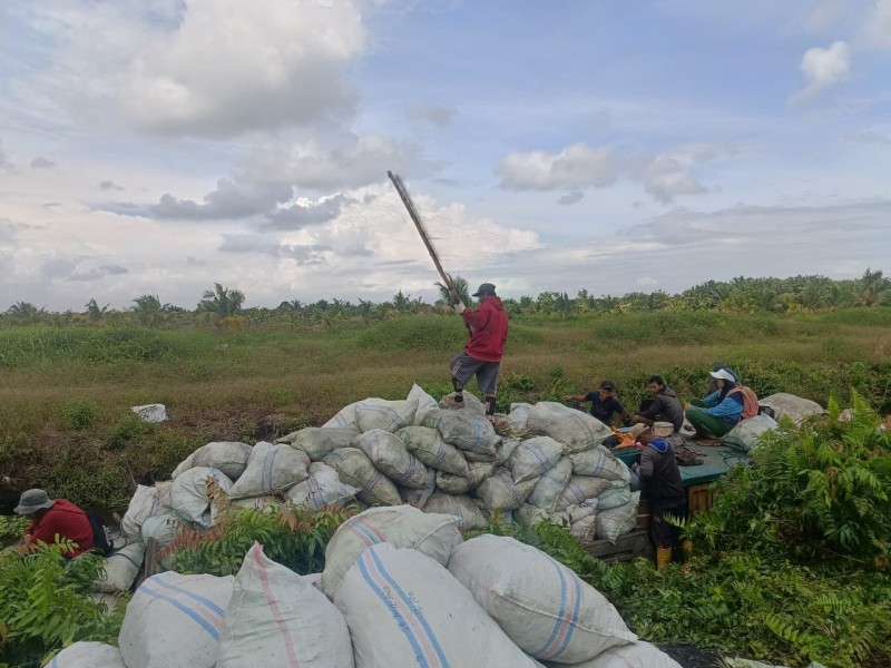 Dukung Produktivitas Petani, PT RSUP PKB Salurkan Bantuan Pupuk Biopet ke Desa Ringin Jaya