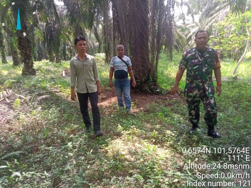 Babinsa Sertu Rudy A. Panjaitan Laksanakan Patroli Karhutla di Koto Gasib