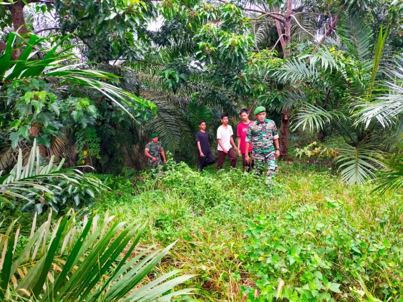 Babinsa Serka R. Girsang Laksanakan Patroli Karhutla di Sungai Selodang, Situasi Nihil Titik Api