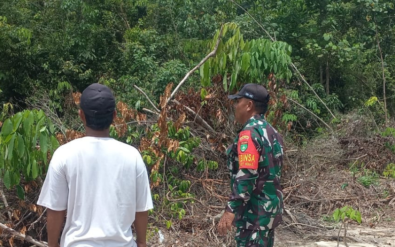 Kodim 0320/Dumai Perkuat Upaya Pencegahan Karhutla Melalui Patroli Rutin Babinsa