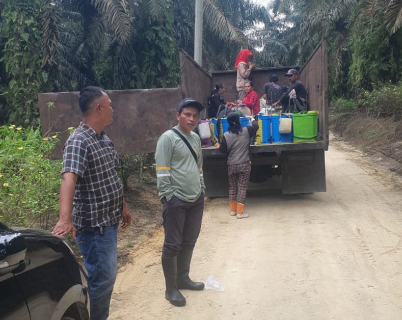 Disita Negara, Dirawat Serius: Kebun 1.070 Hektare Eks Jimmy Resmi Dikelola KSO Kampar Jaya Bersama