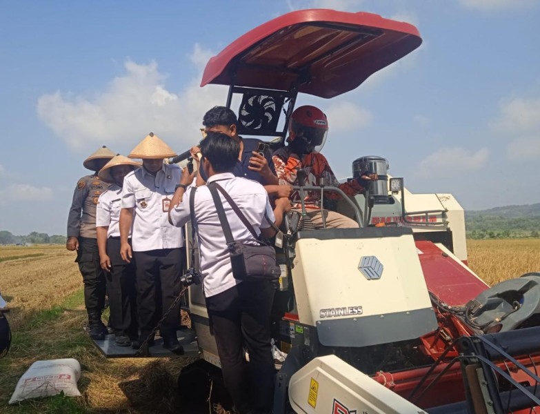 Jelang HUT ke-179, Bupati Boyolali Pimpin Panen Raya di Desa Sangge
