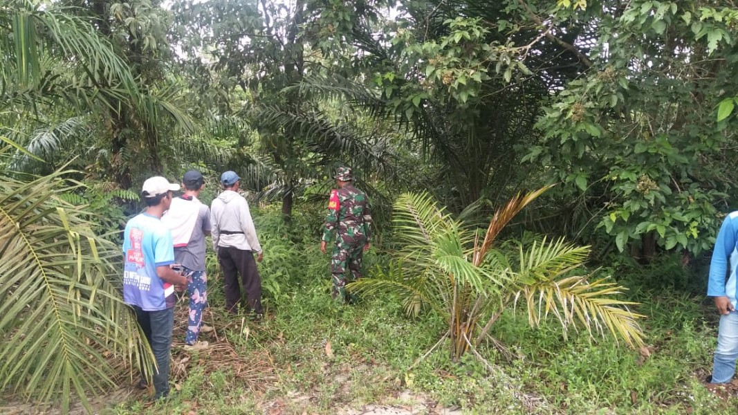 Babinsa Koramil 03/Minas Terus Siaga, Patroli Karhutla di Minas Timur Tidak Temukan Titik Api