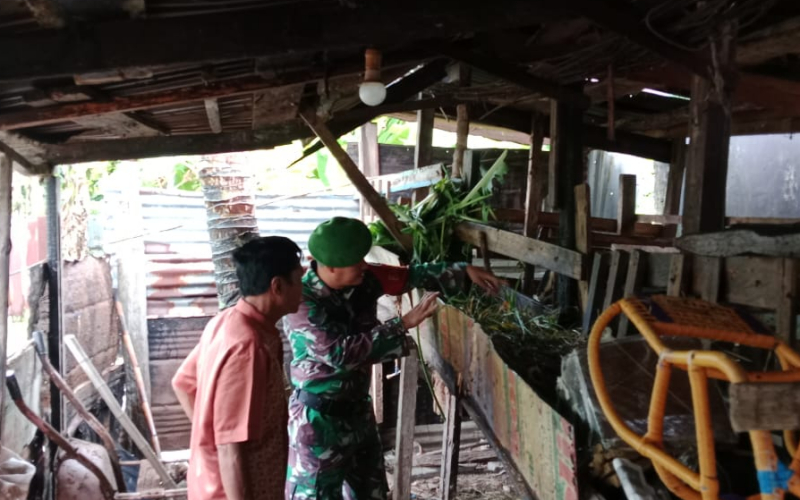 Sertu Samsuddin Siregar Sosialisasi Pencegahan Wabah Penyakit di Peternakan