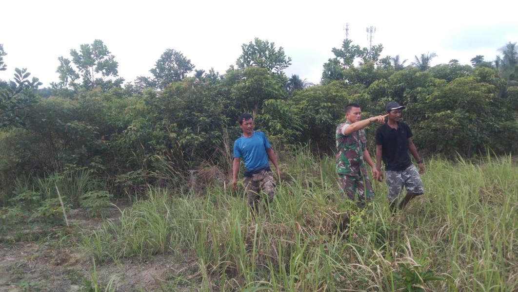 Babinsa Koptu Togi Sitorus Patroli Karhutla di Perawang Barat, Tidak Ditemukan Titik Api