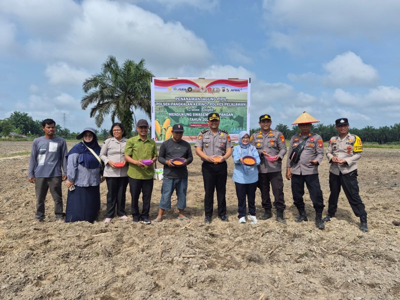 Polsek Pangkalan Kerinci, Polres Pelalawan dan PT RAPP Tanam Jagung 3 Hektare, Wujud Nyata Dukung Swasembada Pangan Nasional