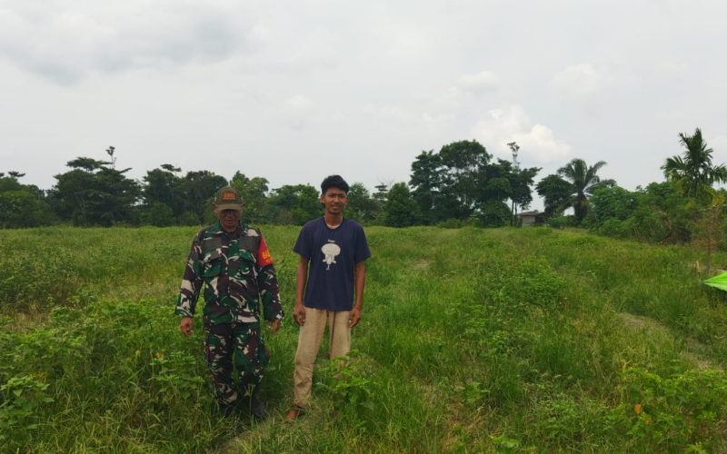 Babinsa Koramil 01 Dumai Laksanakan Pendampingan Karya Nyata Pertanian Jeruk Nipis