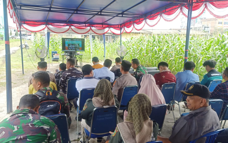 Babinsa Dampingi Petani Dumai Wujudkan Panen Raya Jagung Berkualitas