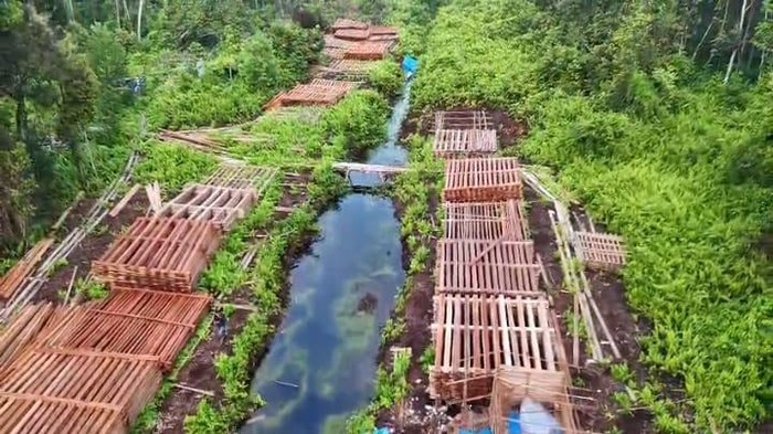 Polres Inhu Bongkar 300 Kubik Kayu Illegal Logging di Riau