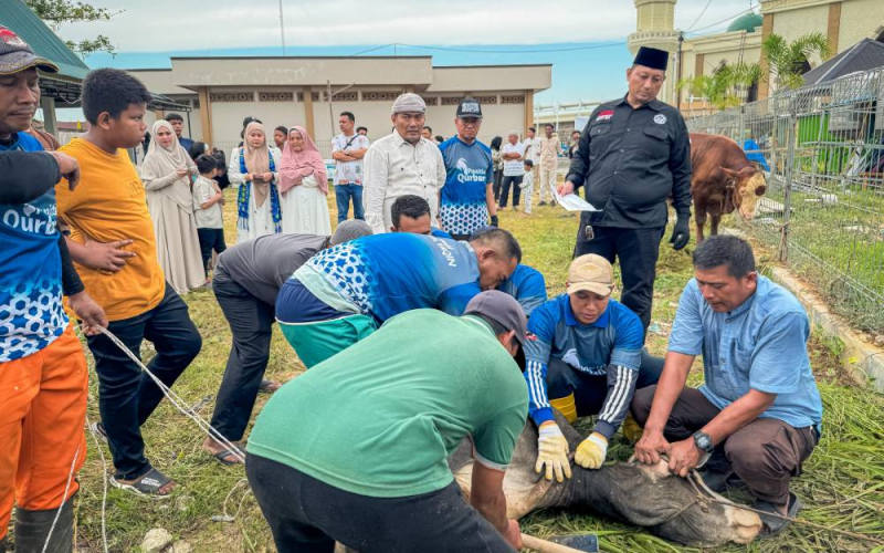 10 Hewan Kurban Disembelih di DIC, 950 Paket Daging Dibagi kepada Jamaah dan Masyarakat