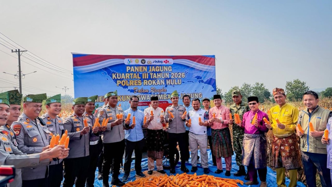 Polres Rokan Hulu Panen Jagung, Perkuat Program Swasembada Pangan Nasional