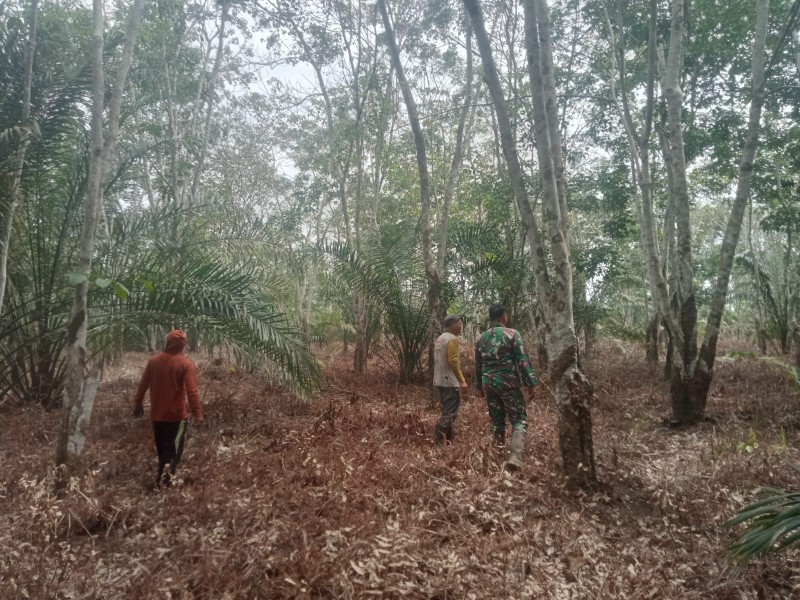Babinsa Serda Wiky Hendri Septa Gelar Patroli Karhutla di Sungai Mandau