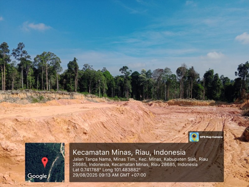 Hutan Lestari PHR Minas Disinyalir Jadi Korban Pengerukan Tanah Oleh Sejumlah Mitra Kerja!