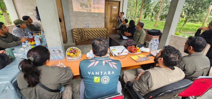 Menhut Libatkan Dokter Spesialis Gajah India Cegah Penyebaran Virus EEHV di Riau