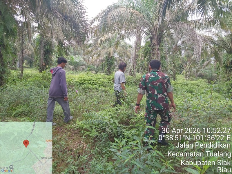 Babinsa Serda Deddy H Laksanakan Patroli Karhutla di Tualang