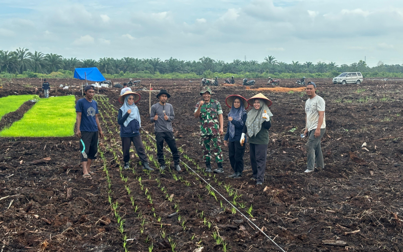 Kolaborasi Kodim Dumai dan DKPP Laksanakan Penanaman Padi
