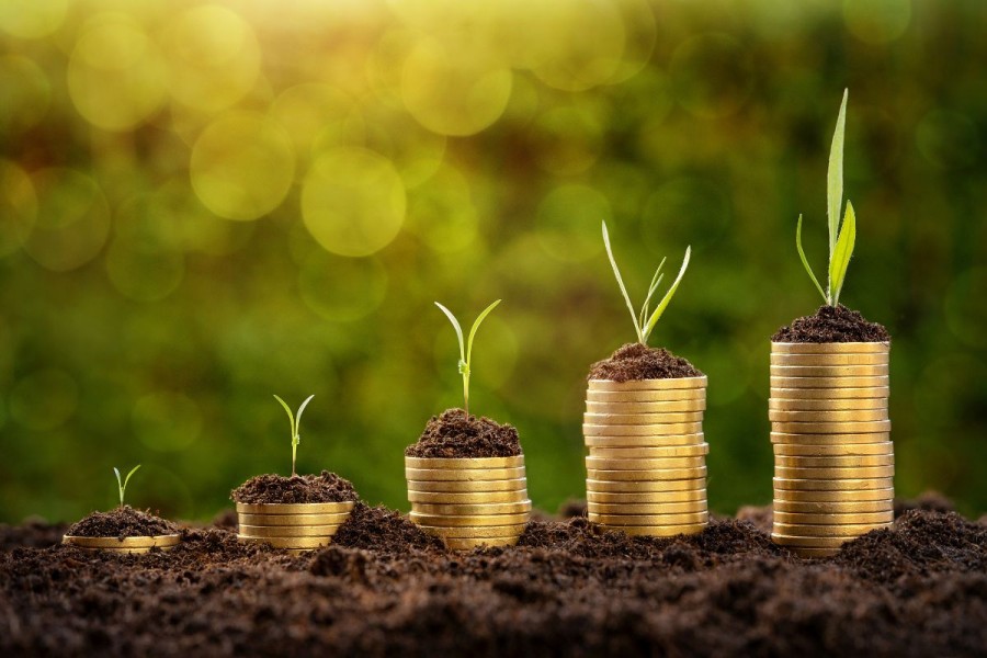 Cara Investasi Emas Online: Panduan Lengkap untuk Pemula di 2025