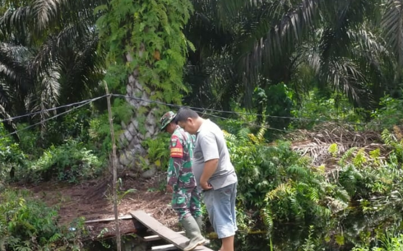Cegah Karhutla, Babinsa Koramil 03/Sungai Sembilan Gencarkan Edukasi Masyarakat