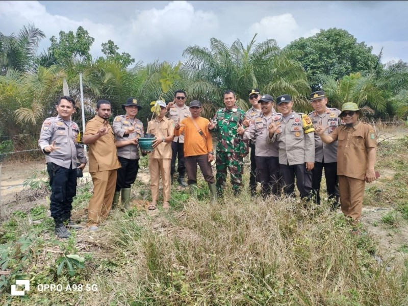Kapolsek Minas Pimpin Penanaman Jagung Serentak Kuartal I di Kampung Rantau Bertuah