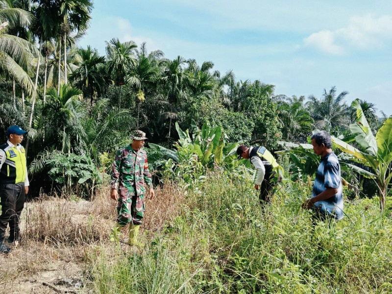 Babinsa Mayus Maruli Patroli Karhutla di Minas, Titik Api dan Asap Nihil