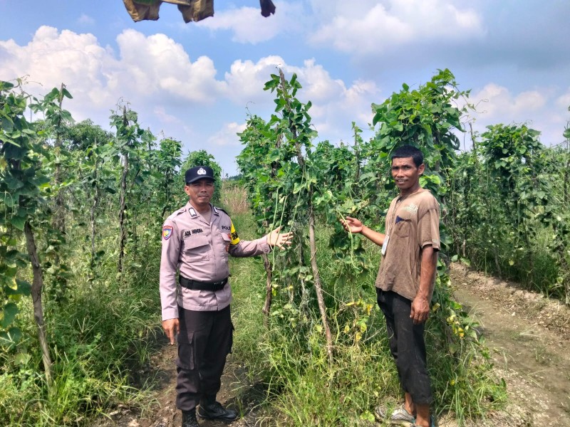 Polsek Tanah Merah Kawal Program Ketahanan Pangan di Desa Sungai Laut