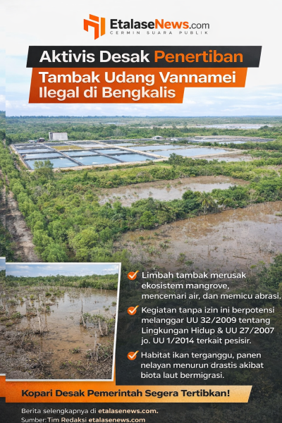 Aktivis Desak Penertiban Tambak Udang Vannamei Ilegal di Bengkalis, Ancaman Lingkungan Kian Nyata