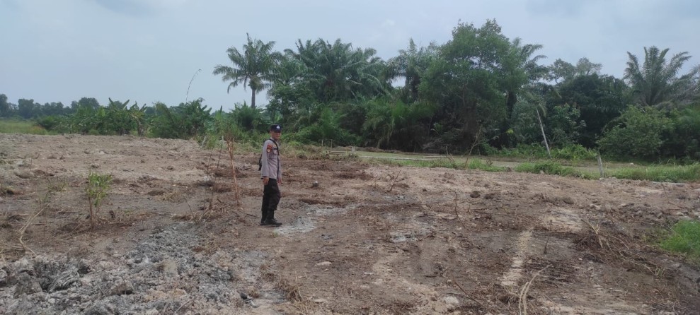 Ketahanan Pangan Diperkuat, Polsek Sabak Auh Turun Langsung Cek Lahan Jagung 1,5 Hektare