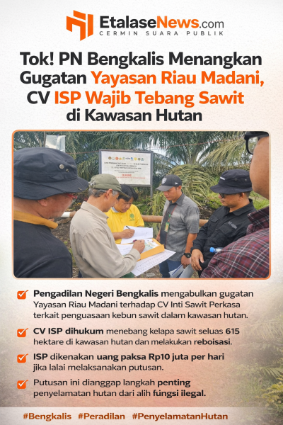Tok! PN Bengkalis Menangkan Gugatan Yayasan Riau Madani, CV ISP Wajib Tebang Sawit di Kawasan Hutan