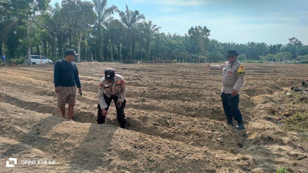 Polsek Minas Cek Calon Lahan Jagung Pipil 1,5 Hektare di Rantau Bertuah, Dukung Program Ketahanan Pangan Nasional