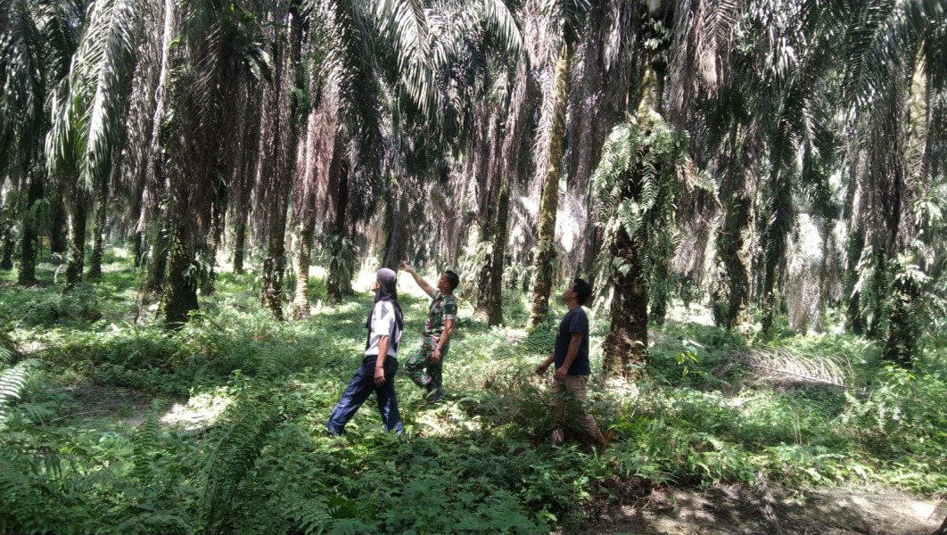 Babinsa Koramil 04/Perawang Serka Alexander S Laksanakan Patroli Karhutla di Pinang Sebatang Timur