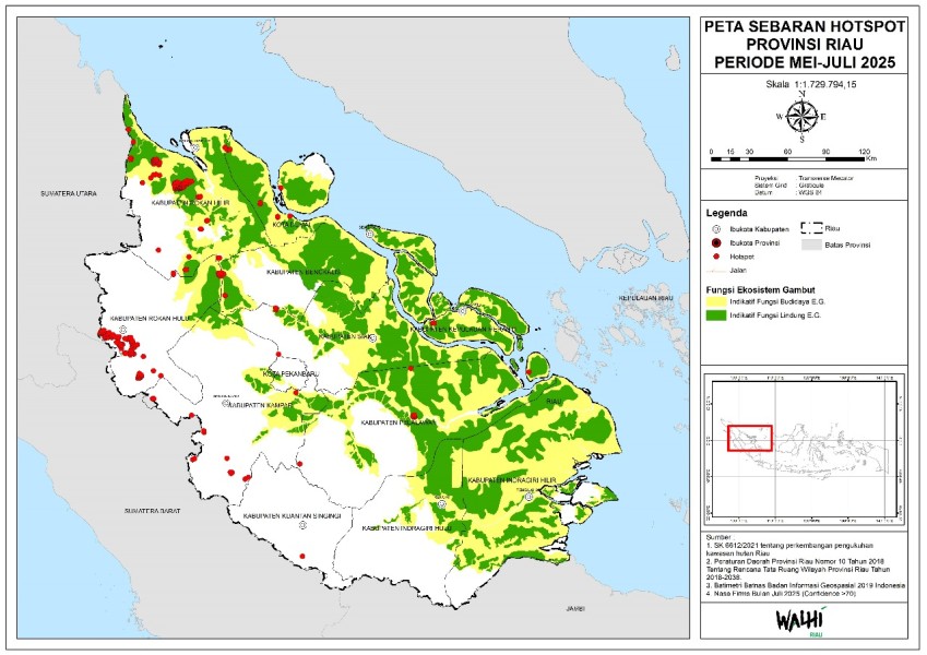Riau Tanggap Darurat Karhutla, WALHI Tuntut Ketegasan Komitmen Rezim Baru