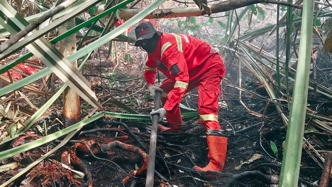 Hari ke-11 Karhutla Sungai Guntung Hilir, 900 Meter Kepala Api Berhasil Dikendalikan