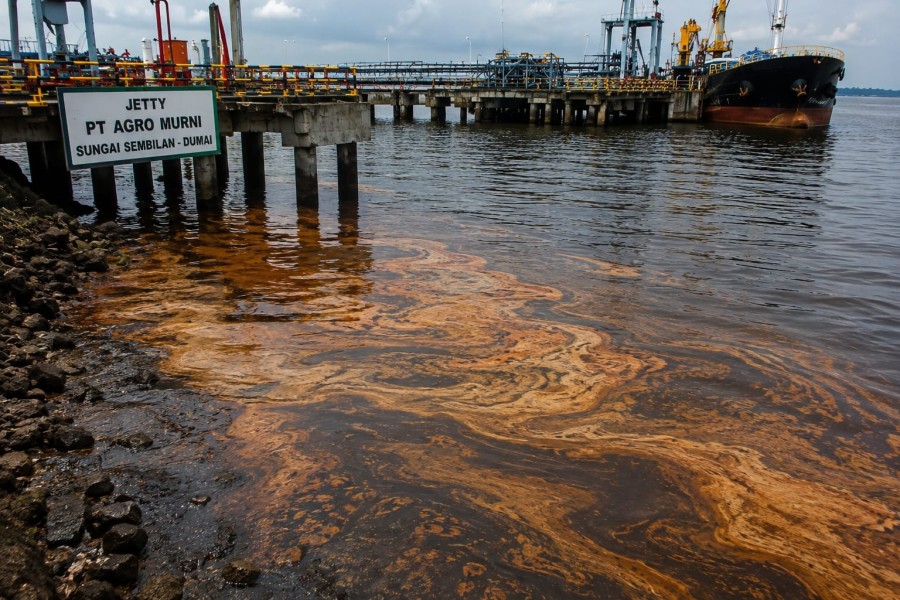 CPO Diduga Tumpah ke Laut di Jetty PT Agro Murni, DLH Turun ke Lokasi