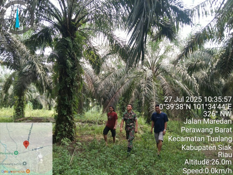 Koptu Togi Sitorus Laksanakan Patroli Karhutla di Perawang Barat, Titik Api Nihil