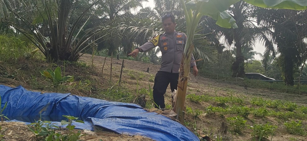 Persiapan Embung Air untuk Tanaman Jagung Pipil, Polsek Minas Dukung Ketahanan Pangan Nasional di Minas Barat