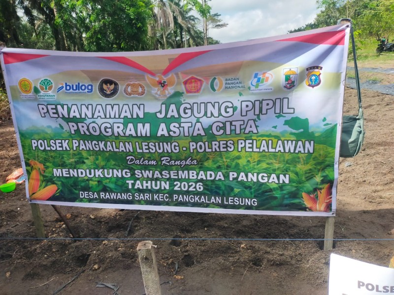 Polsek Pangkalan Lesung Tanam Jagung Hibrida di Rawang Sari, Dukung Ketahanan Pangan Kuartal I 2026