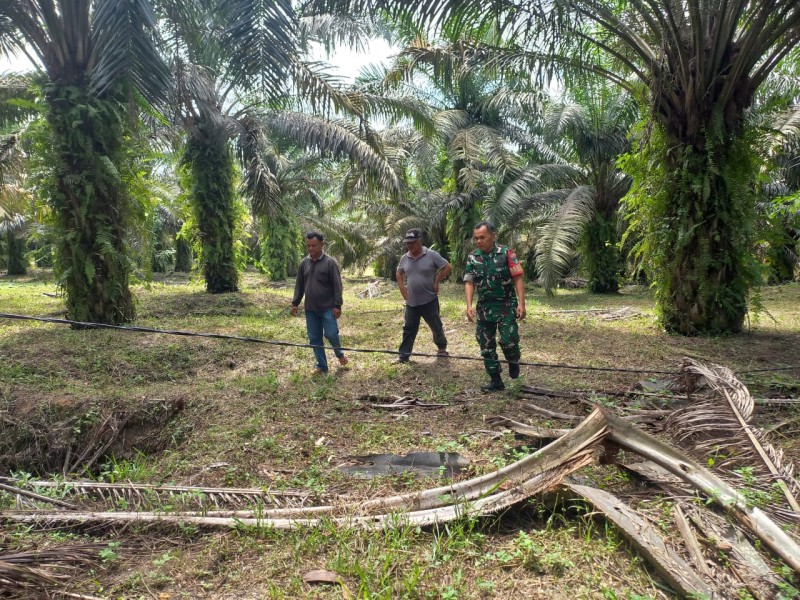 Serka Afrisal Patroli Cegah Karhutla di Kampung Maredan, Siak: Kita Harus Tetap Siaga Meski Tak Ada Titik Api