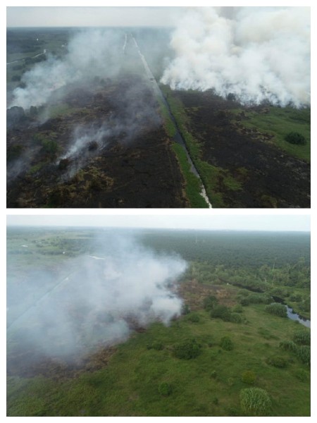 Karhutla Kerumutan Belum Terkendali, BPBD Pelalawan Kerahkan 30 Personel dan Helikopter Water Bombing