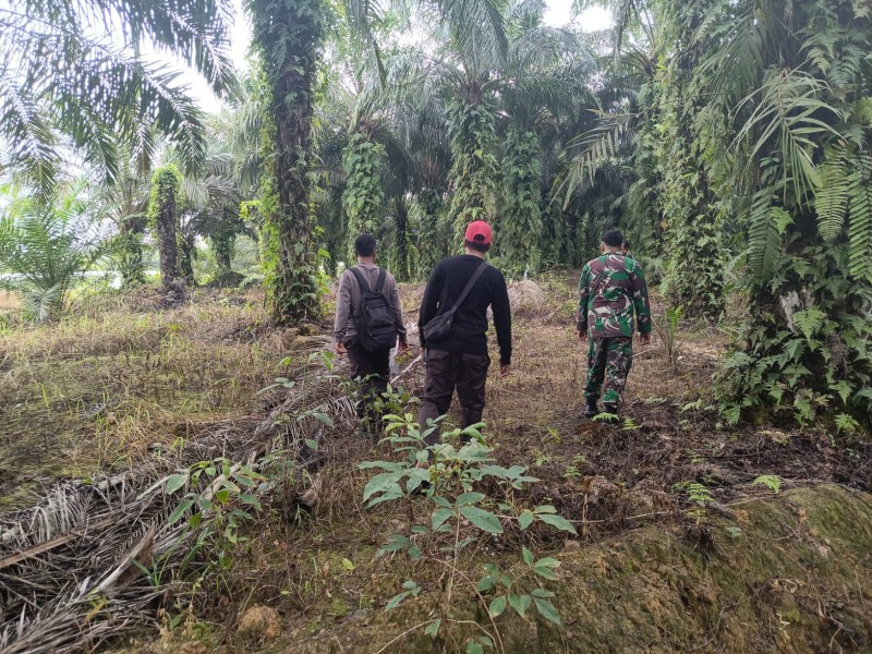 Babinsa Koramil 03/Minas Serda Haris Laksanakan Patroli Karhutla di Sungai Mandau, Situasi Aman dan Terkendali