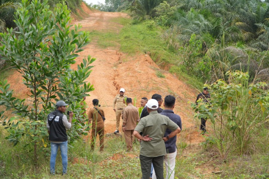 Bupati Pelalawan Bakal Percepat Pembangunan Akses Penghubung Terdekat Kemang - Meranti