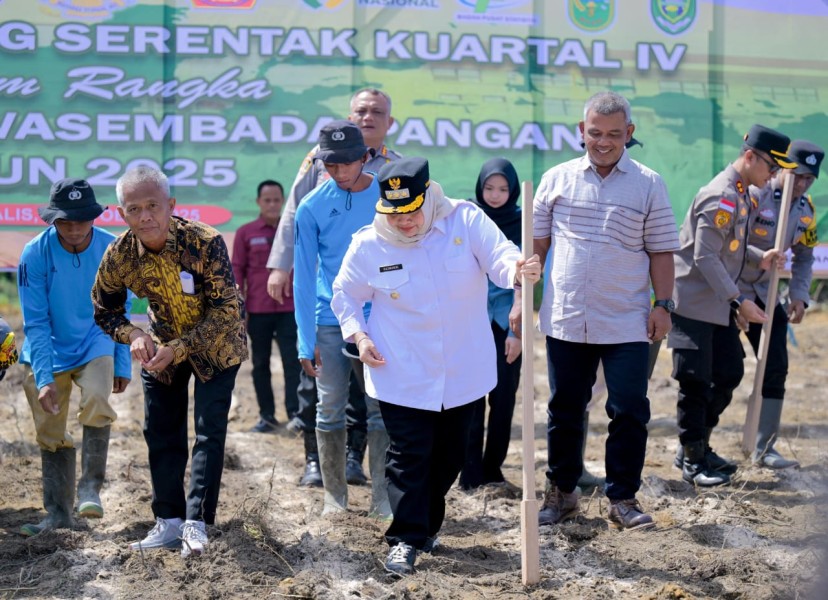 Bupati Kasmarni Ikut Tanam Jagung Serentak Dukung Swasembada Pangan 2025