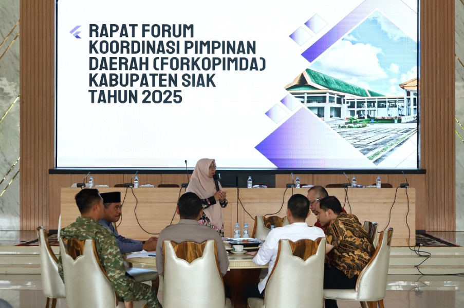 Hutan Sudah jadi Kebun Sawit, Ini Arahan Bupati Siak Perkuat Mitigasi Bencana Banjir dan Longsor