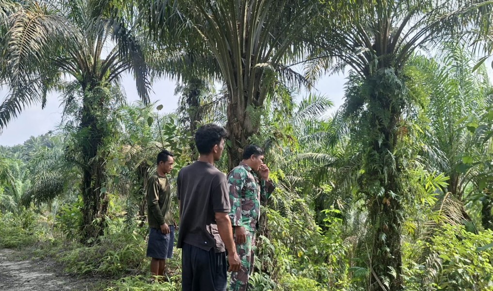 Serda Wiky Hendri Septa Patroli Karhutla di Kampung Teluk Lancang, Pastikan Wilayah Tetap Aman dari Kebakaran