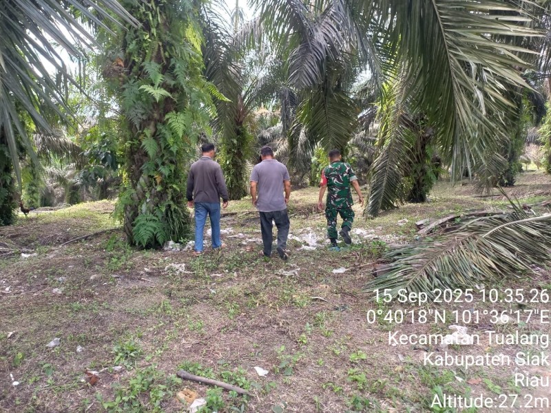 Babinsa Serka Afrisal Pimpin Patroli Karhutla di Tualang, Pastikan Nihil Titik Api