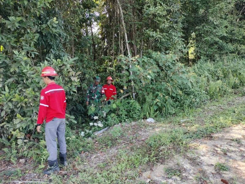 Babinsa Sertu Joko Purnomo Laksanakan Patroli Karhutla di Kampung Bencah Umbai